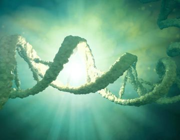 Scientists launch proposal to create synthetic human genome